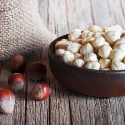 York Filbert Hazelnut -Fast Growing Trees Shop York Hazelnut 5